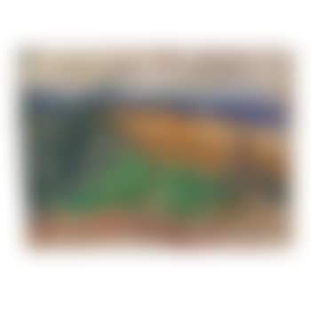 Vue de la plage de bellangenay (preview)