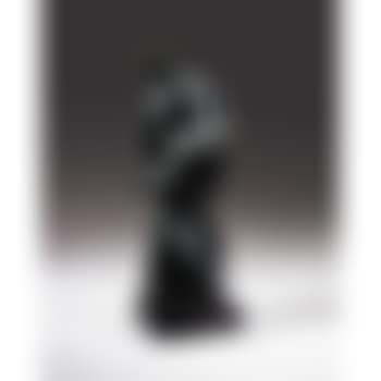 Acordeoniste (preview)