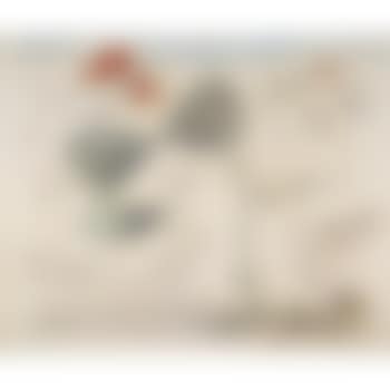 Le coq (preview)