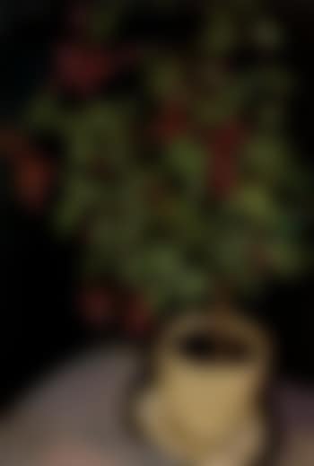 Pot de fuschias (preview)