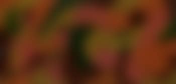 Linee andamentali (preview)