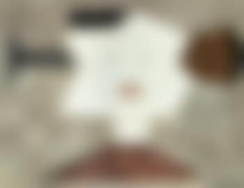 Portrait du cote miroir (preview)