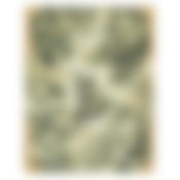 Design for a ceiling fresco (preview)