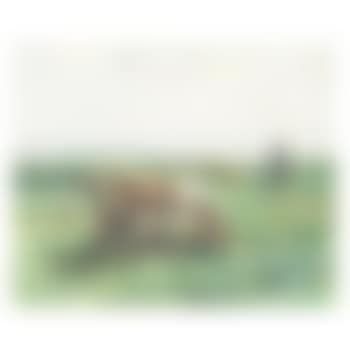 Cows at pasture (preview)