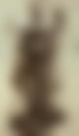 Jeune pecheur (preview)