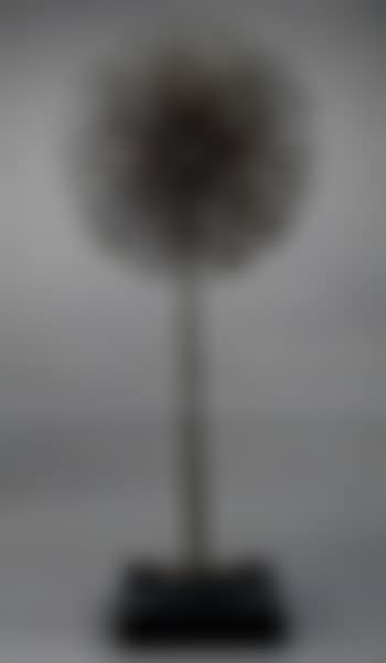 Dandelion (preview)