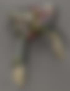 Zita (preview)