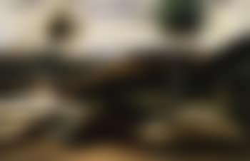 Paysage aux deux arbres (preview)
