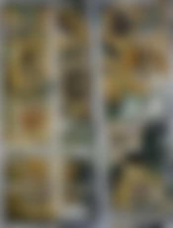 Window to smiling sunflowers (preview)