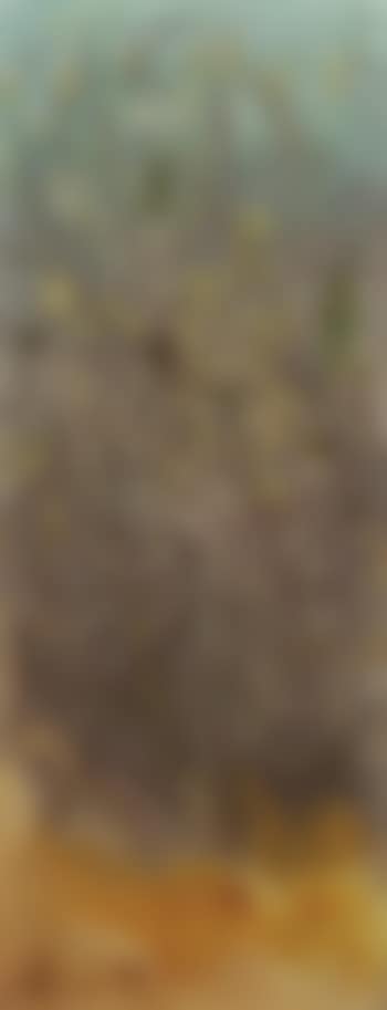 Rustle of dried grass (preview)
