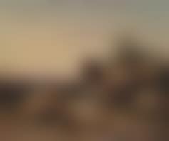 Sheep in an evening landscape (preview)