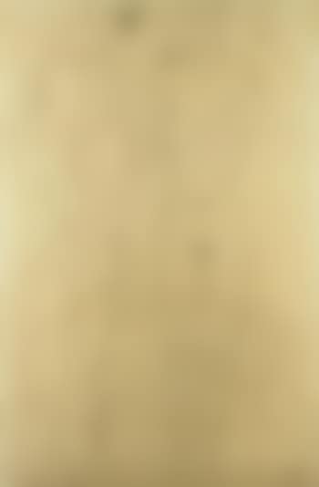 Athlete in profile facing right, female nude seen from the front (preview)