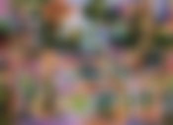 Paysage (preview)