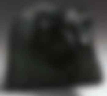 Panthere (preview)