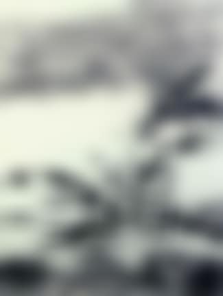 Composition feuillages (preview)