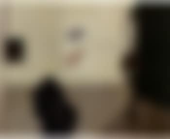 Museum Zaal (preview)