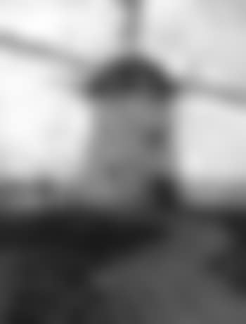 Rotterdam Mill (preview)