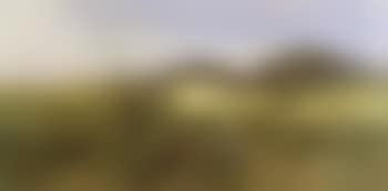 Landscape (preview)