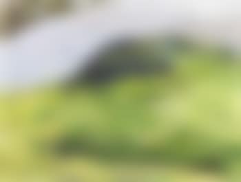 Chrossavaig, Skye (preview)