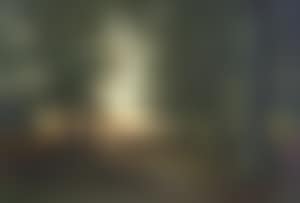 Woodland path at sunset (preview)