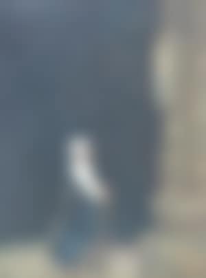 Girl in church interior (preview)