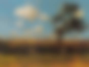 Cows in a summer meadow (preview)