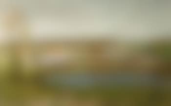 Bulbfields near bentveld (preview)