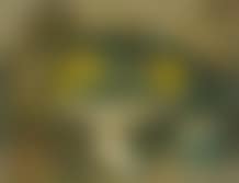 Still life with fruits, sunflowers and ginger jar (preview)