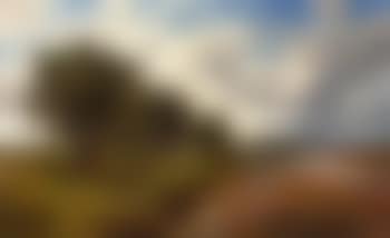 On the Tweed at Nesbitt (preview)