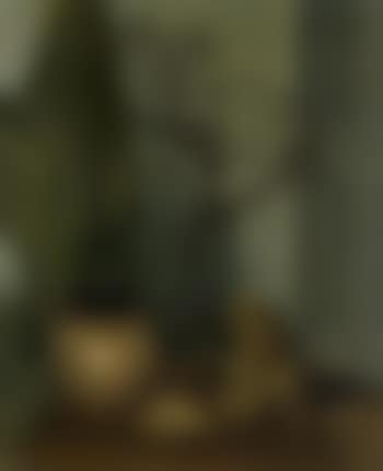 Retrospections (preview)