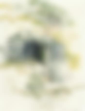 Five trees in the distance (preview)
