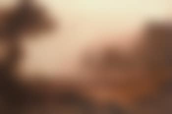 Cattle at twilight (preview)