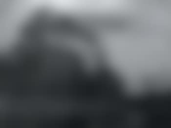 Nocturnal landscape with trees (preview)