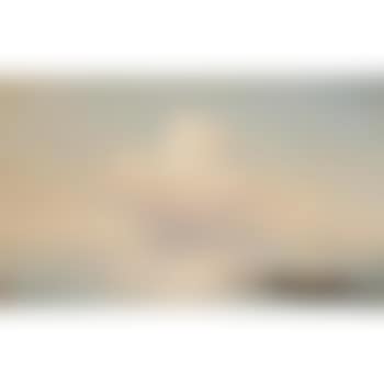 Survivor (preview)