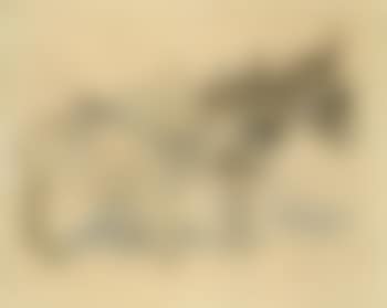 Two donkeys (preview)