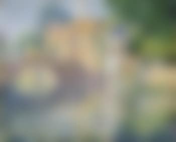 Reflections on a backwater (preview)