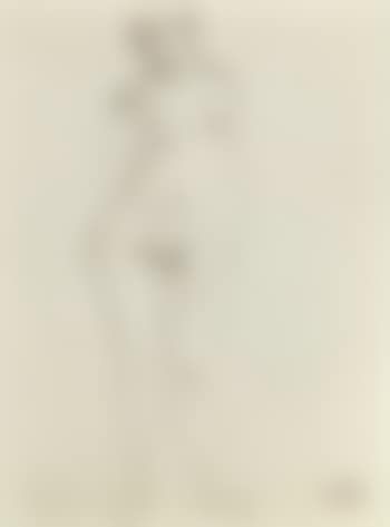 Femme nue (preview)
