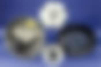Colombe brillante (preview)