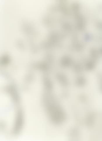 Study for Le crane de Zurbaran (preview)