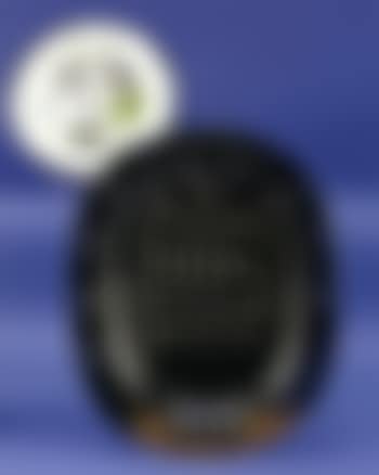 Hibou brillant (preview)