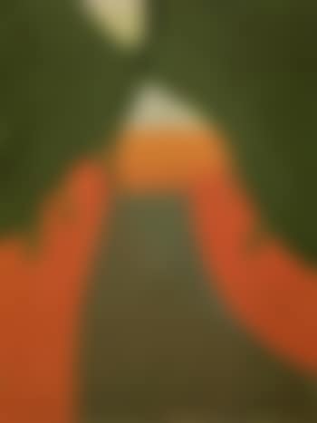 Boulevard with cypress trees (preview)