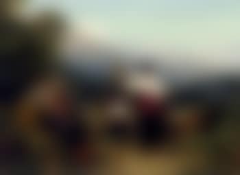 Young danders (preview)