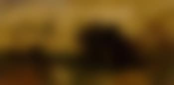Paysage (preview)