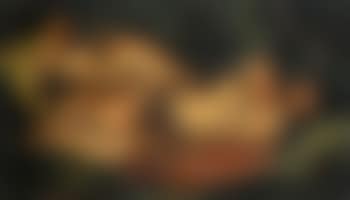 Deux baigneuses (preview)