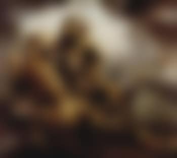 Tiger hunting (preview)