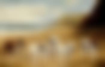 Bulldogs on the beach (preview)