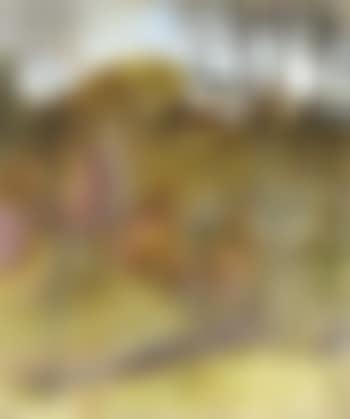 Paysage avec Eglise (preview)