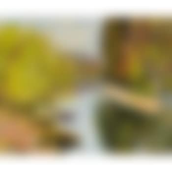 By the river (preview)