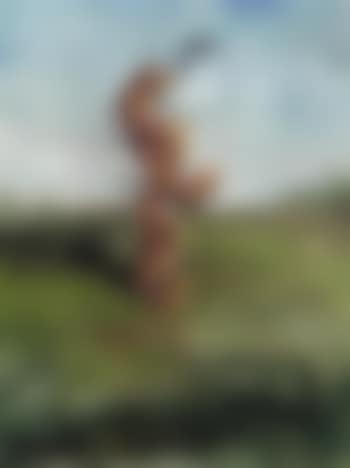 Untitled (preview)