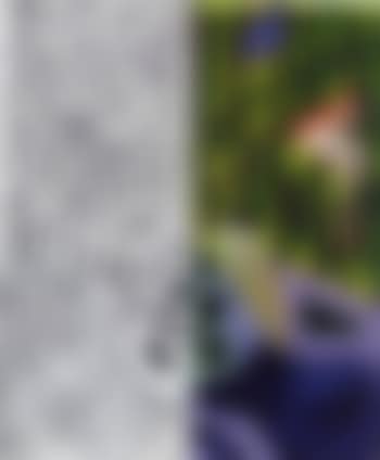 Untitled no.5 (preview)